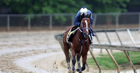 Belmont Stakes 2024 Post Positions: Complete Listing for Every .